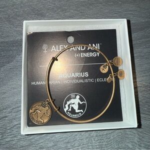 Alex and Ani Gold Aquarius Charm Bracelet